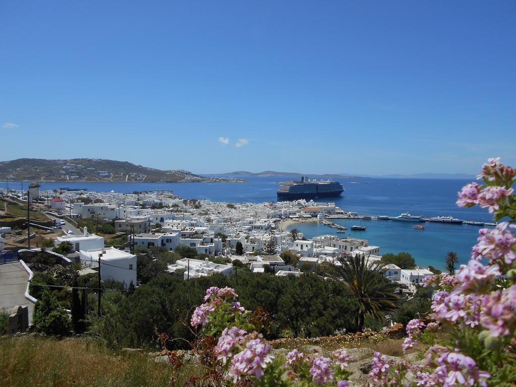 La Veranda Of Mykonos Traditional Guesthouse Mykonos Town Exterior photo