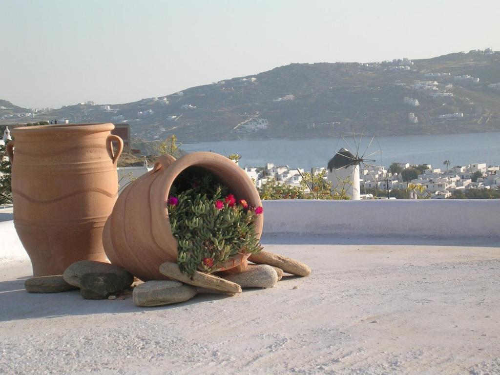 La Veranda Of Mykonos Traditional Guesthouse Mykonos Town Exterior photo