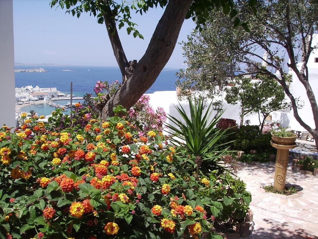 La Veranda Of Mykonos Traditional Guesthouse Mykonos Town Exterior photo